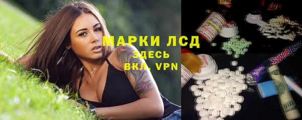 шишки Армянск