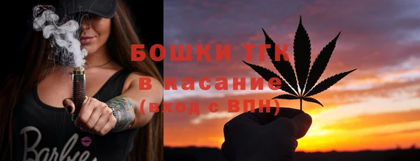 шишки Армянск