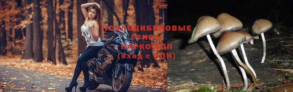 кокаин премиум Аркадак