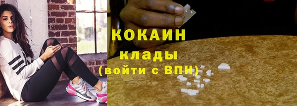 шишки Армянск