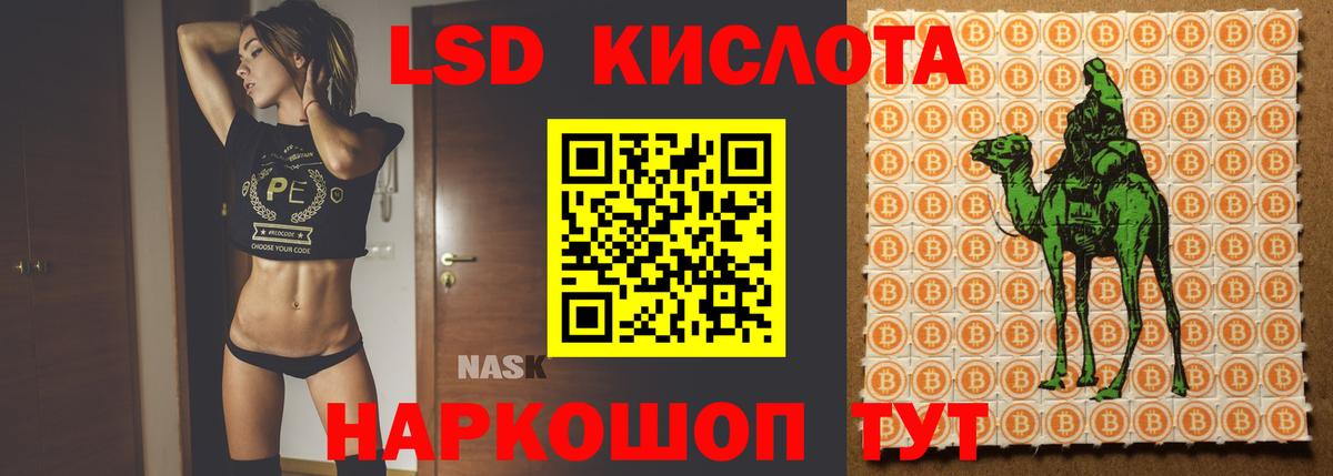 Лсд 25 экстази ecstasy  Вход с VPN  Петропавловск-Камчатский  LSD-25 экстази ecstasy 