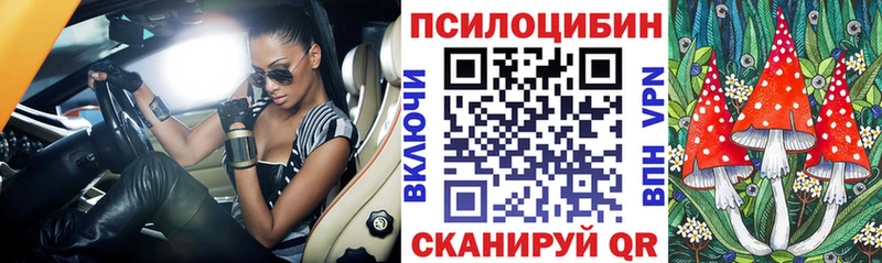 купить   Петропавловск-Камчатский  Псилоцибиновые грибы Magic Shrooms 