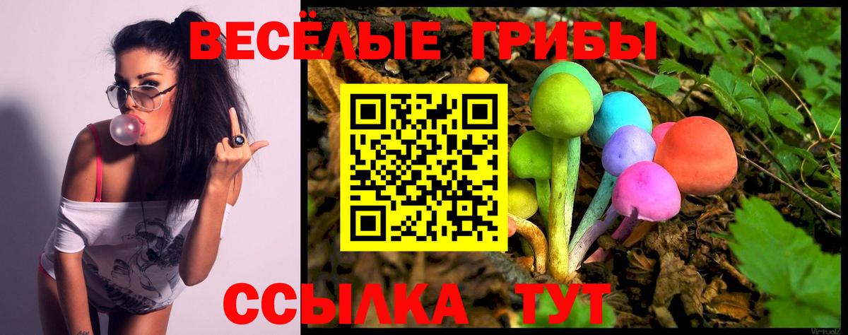 Псилоцибиновые грибы Cubensis  Вход с VPN  купить   Петропавловск-Камчатский 